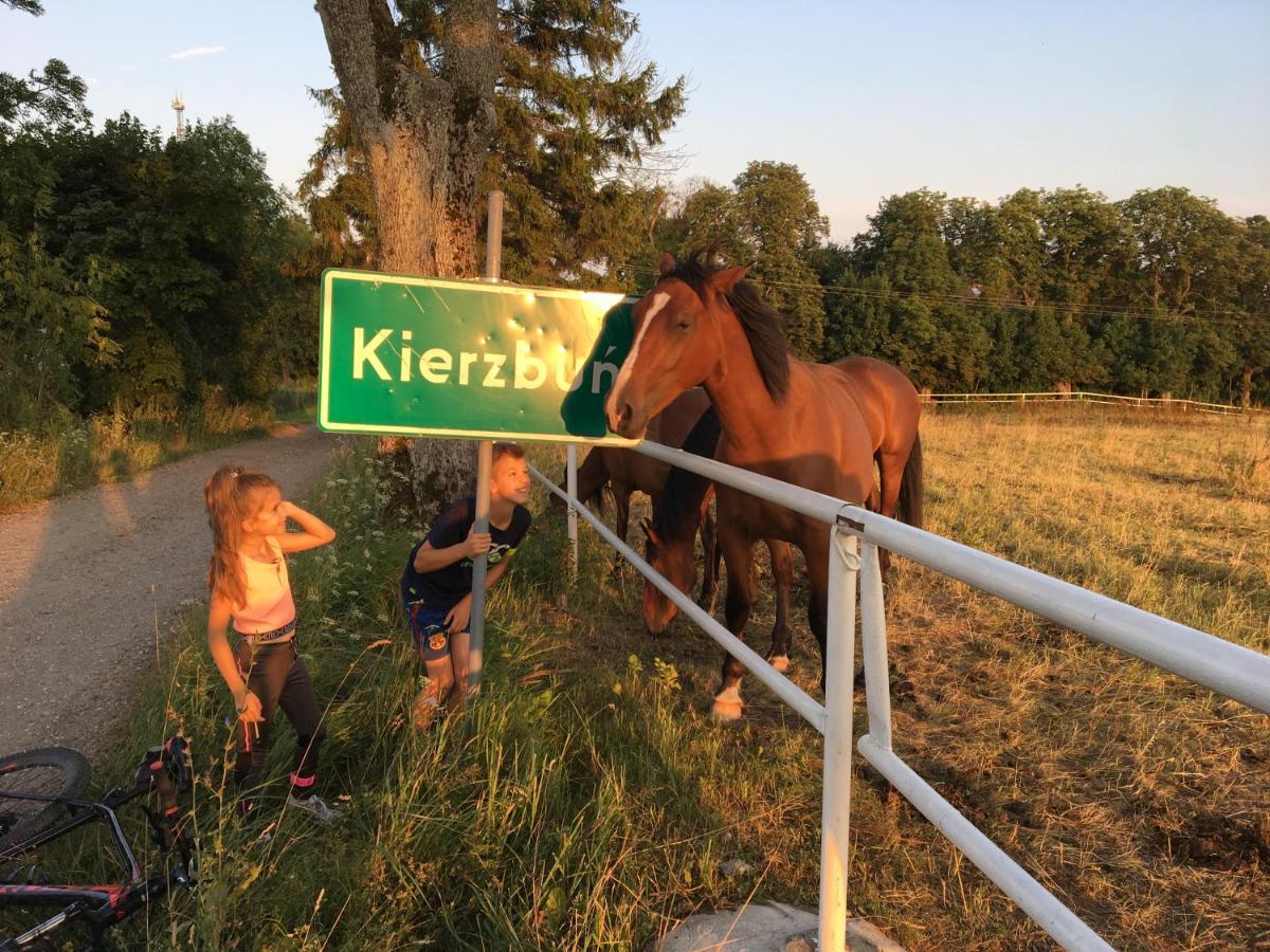 Domki letniskowe przy lesie - U Łastka Bartolty Wielkie Zewnętrze zdjęcie